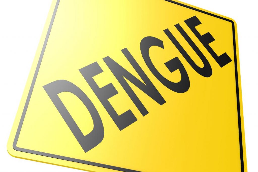 qual o sintoma da dengue: placa de dengue