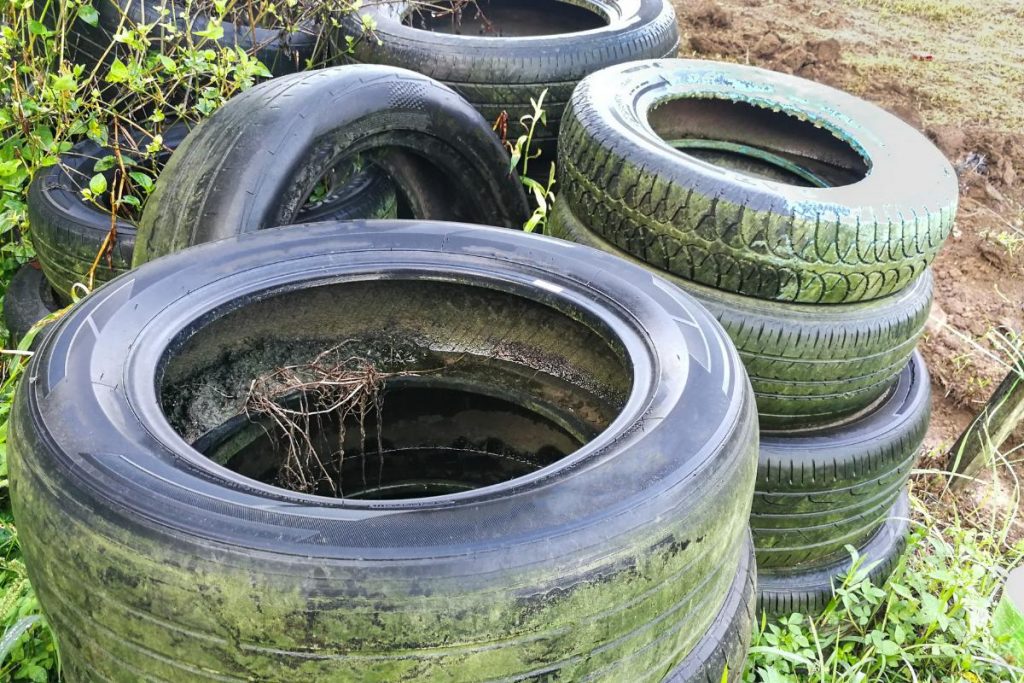 qual o sintoma da dengue: pneus com água parada